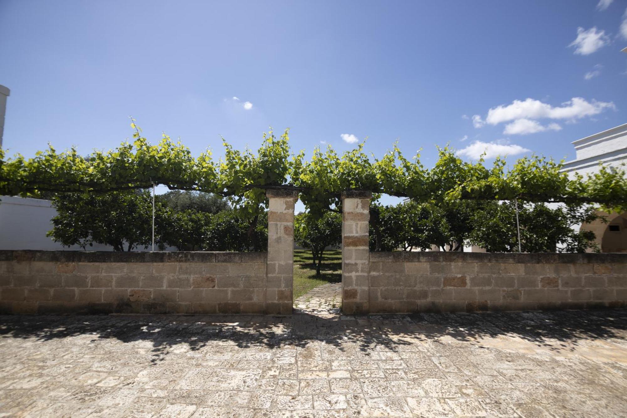 Masseria Palmo Francavilla Fontana Εξωτερικό φωτογραφία
