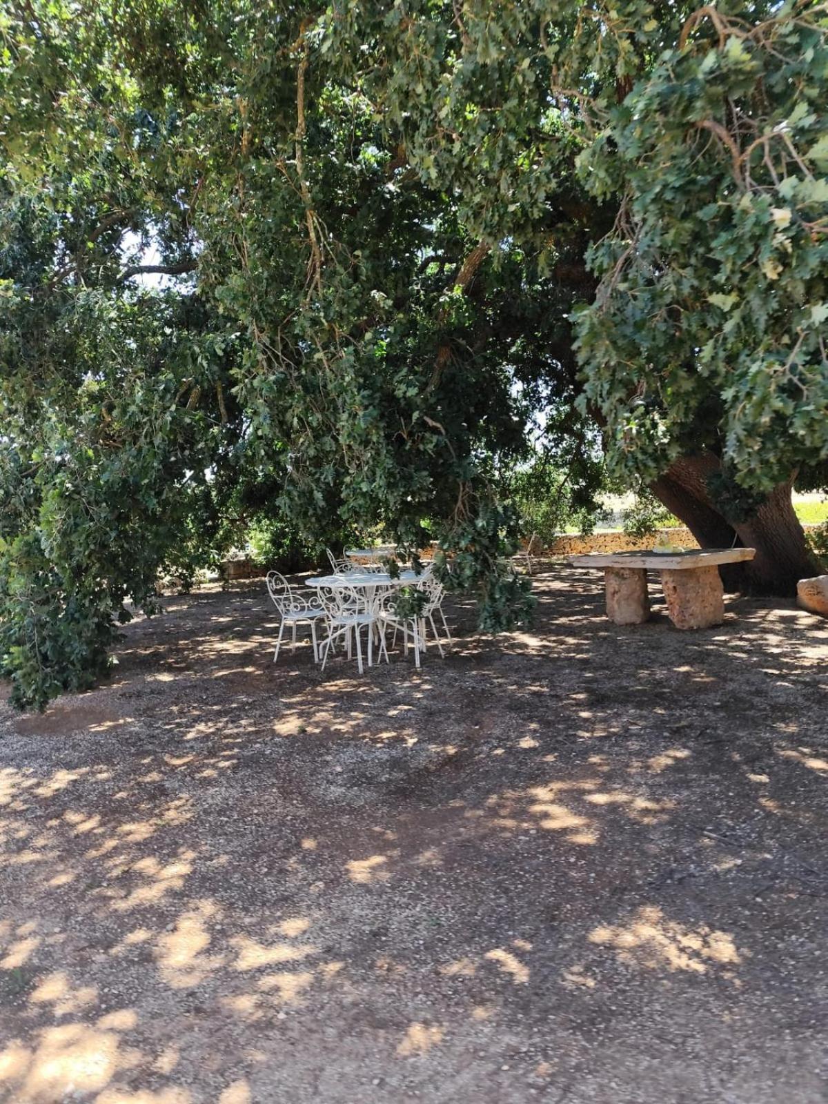 Masseria Palmo Francavilla Fontana Εξωτερικό φωτογραφία